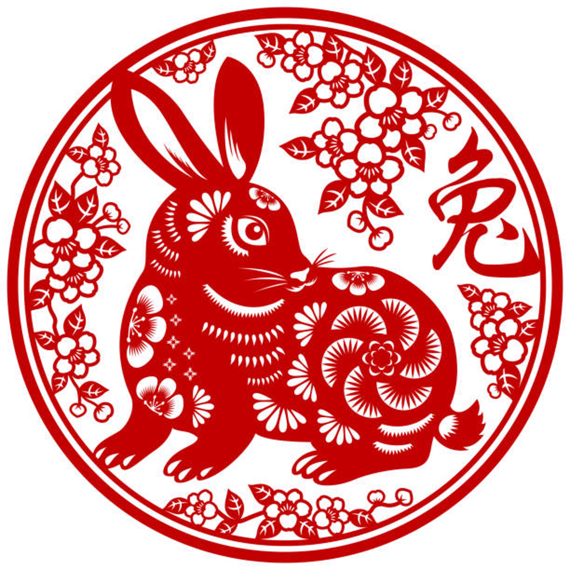 100+ Year of the Rabbit Fun Facts