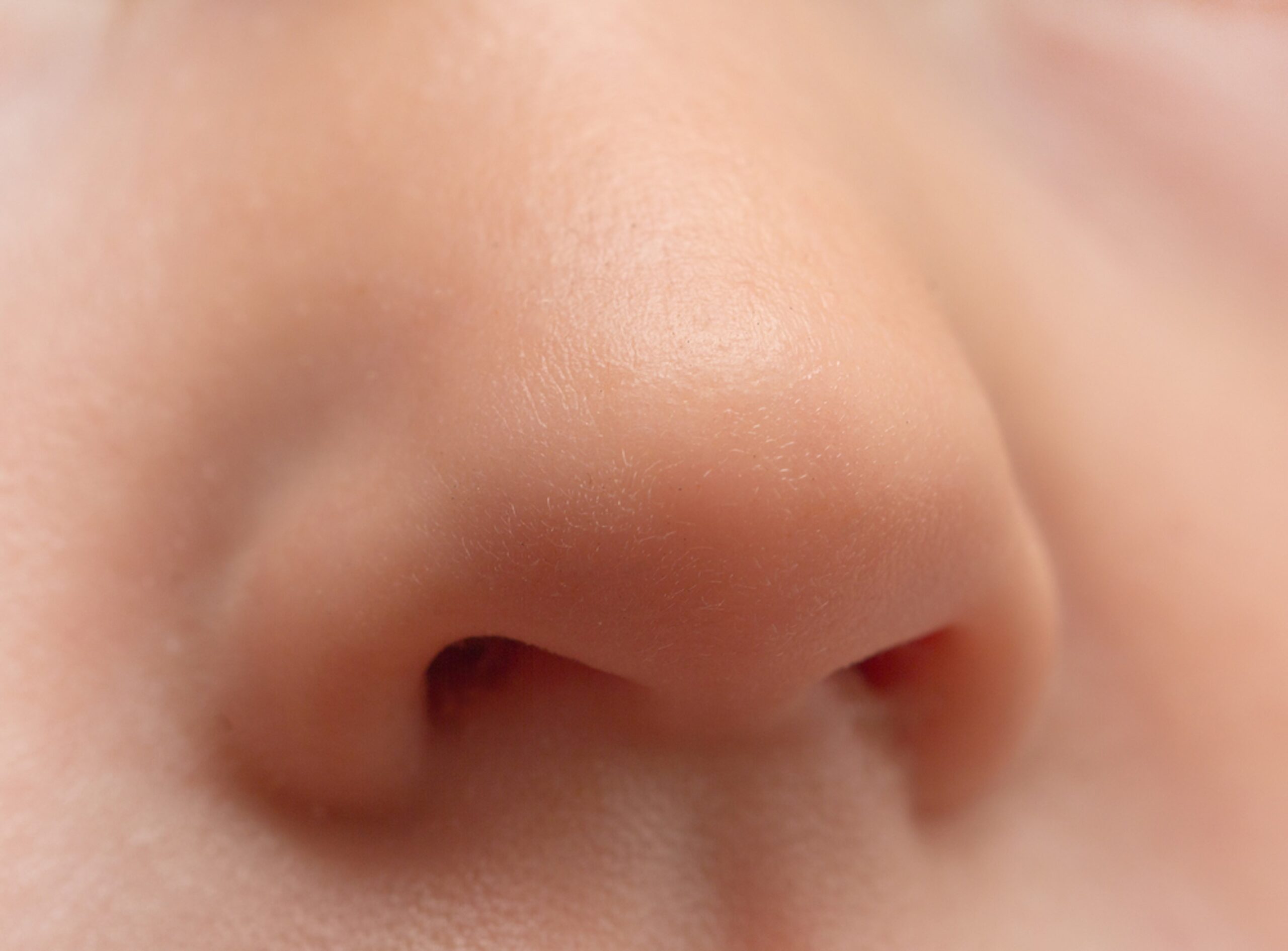50 Nose Fun Facts 50 Nose Fun Facts
