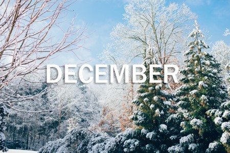 50 Essential December Fun Facts