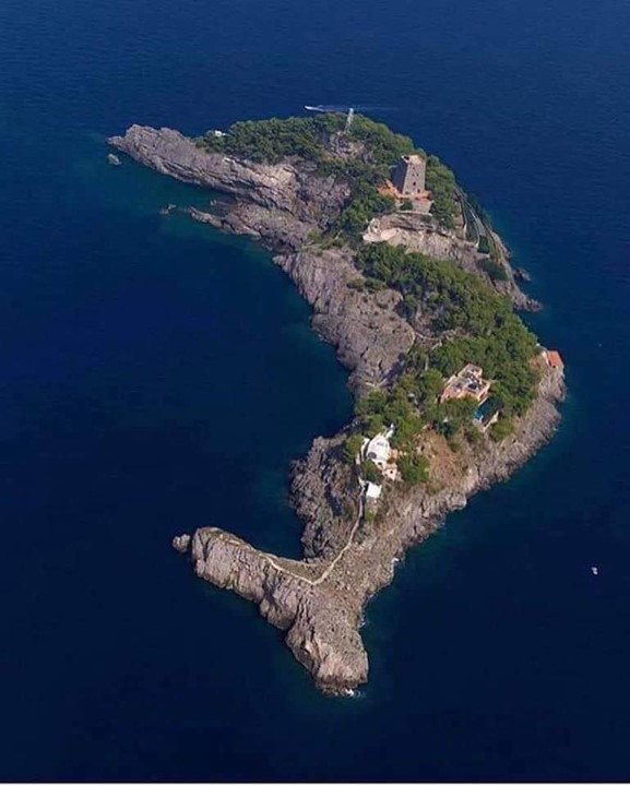 Dolphin Island Illusion