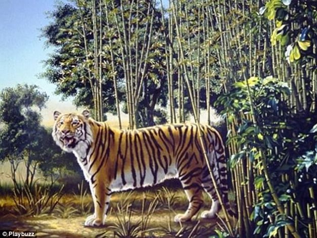 find-the-hidden-tiger-puzzle