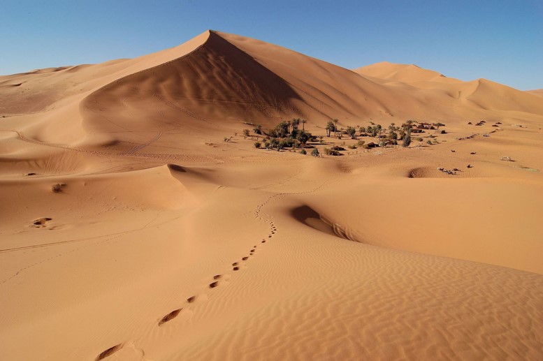 75 Amazing Sahara Desert Facts