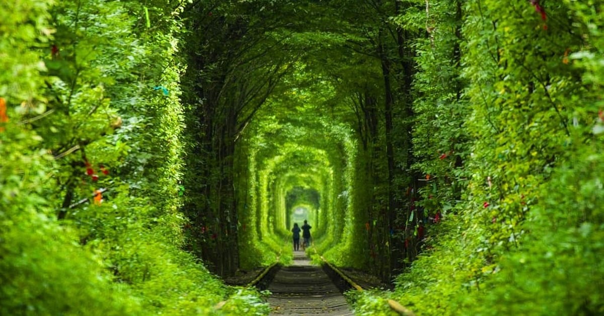 35 Amazing Tunnel of Love Facts