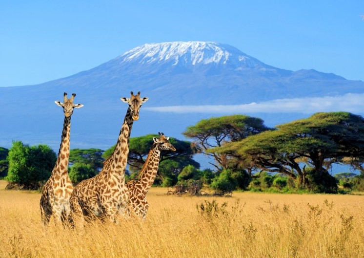 100 Interesting Mount Kilimanjaro Facts