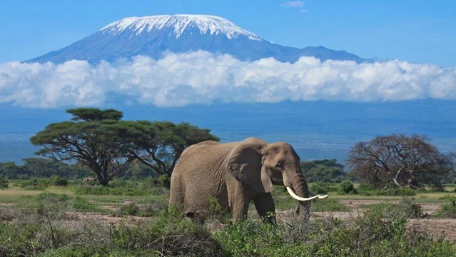 100 Interesting Mount Kilimanjaro Facts