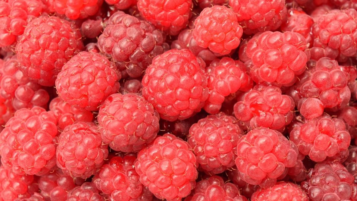 35 Fun Raspberries Facts