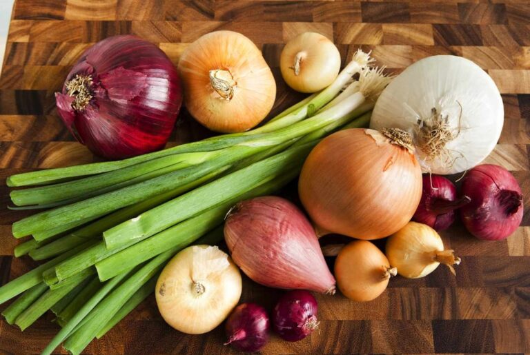 35 Interesting Onions Facts